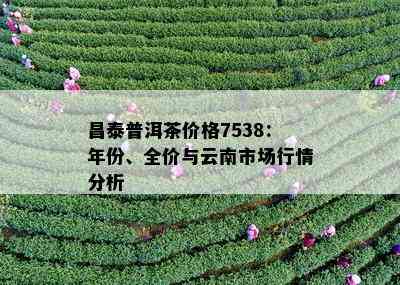 泰普洱茶7538:价格、品质、年份及购买渠道全面解析