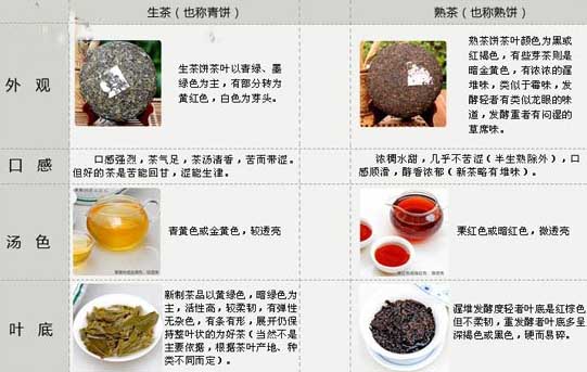 不同的普洱茶可以一起泡吗？功效、存放和生茶的关联，请提供详细的信息。