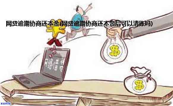 一次性还清网贷逾期本金：可能性、条件与影响全解析