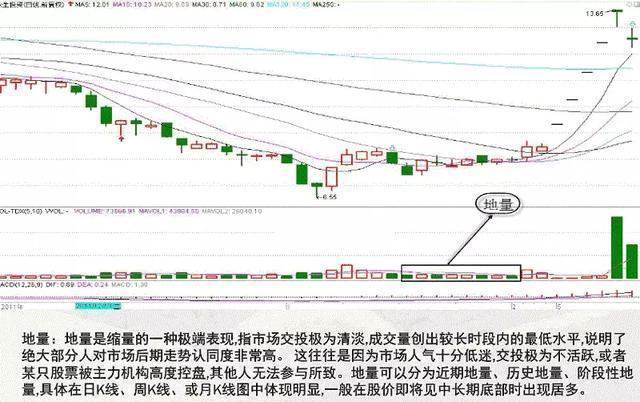 白玉原石：价值、投资、市场趋势、鉴别方法、收藏建议