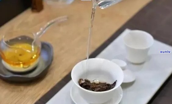 掌握普洱茶冲泡技巧：如何选择合适的克数与时间？