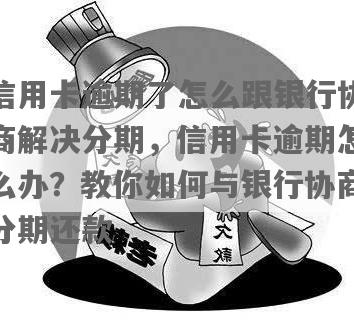 信用卡逾期后尝试与银行协商分期付款遭拒，探讨其他解决策略