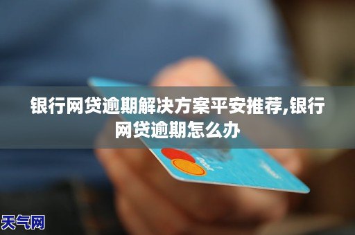 什么网贷可以逾期