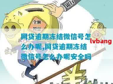 网贷逾期后，微信零钱被冻结的后果及解决方法