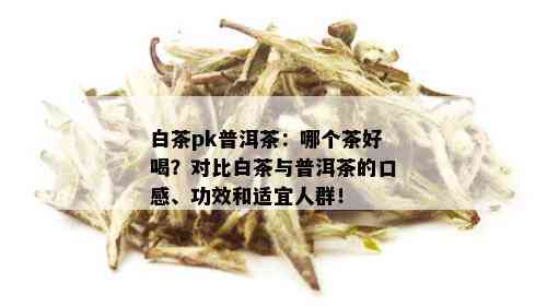 白茶和普洱茶：哪个更健干净？比较两者的品质与功效