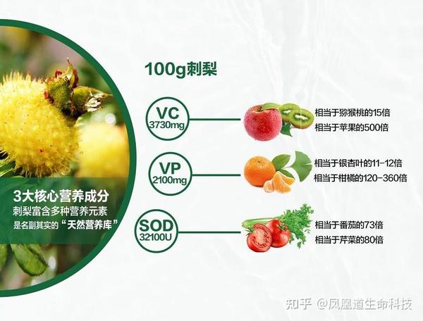 刺梨原液好喝吗？如何饮用效果？有什么作用？一盒价格是多少？