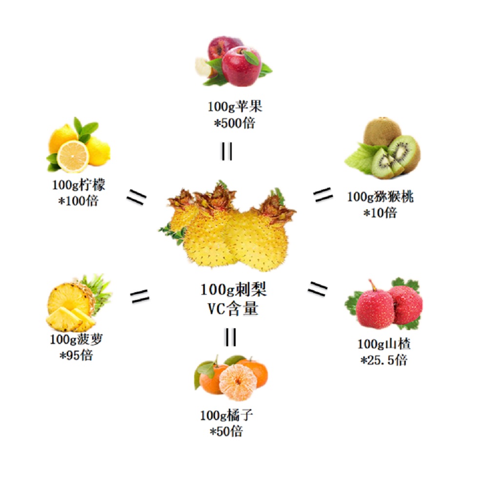 刺梨原浆和原液的深度对比：了解它们之间的差异与选择指南