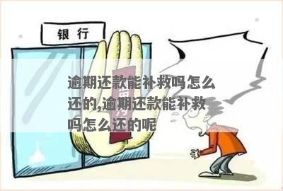 逾期还款修复方法及费用解析