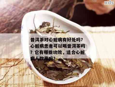 喝普洱茶对心脏好吗女性