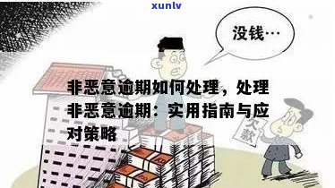 如何评估恶意逾期：理解相关因素与判断标准