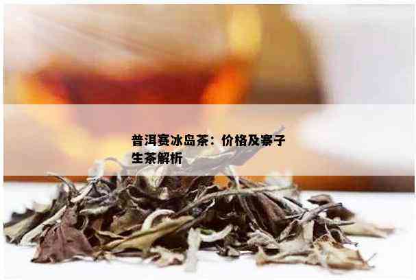 冰岛特色普洱茶寨子：最新价格排名一览，品质与价值并存！