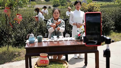 云南普洱茶直播销售真实性疑虑：'卖茶叶直播间云南普洱茶是骗局吗？'