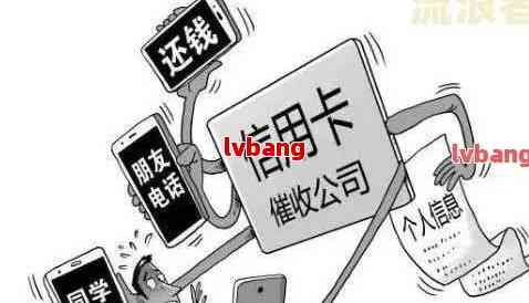 新个人信用卡还款，公司是否提供此服务？现在如何操作？