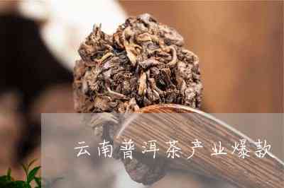 云南普洱茶最新爆料消息