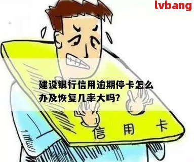 建行逾期两个月停卡恢复的几率大吗： 探讨被停卡后恢复的可能性