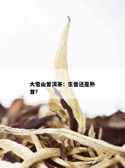 '大雪山普洱茶口感：先苦后甜是真的吗？是生茶还是熟茶？'