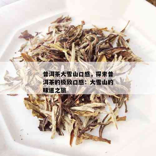 探索普洱茶大雪山口感：一款全面呈现的茶叶体验指南