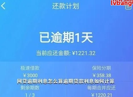 一号还款日宽限期到几号：期详情与逾期风险解析