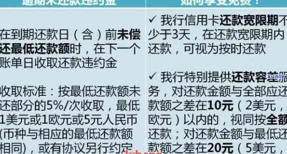 逾期还款的次数与上失信名单的关系：详细解释与解决方法