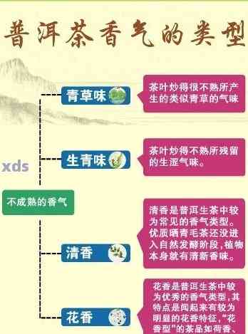 普洱茶香气的全貌解析：成分、形成过程及影响因素探析