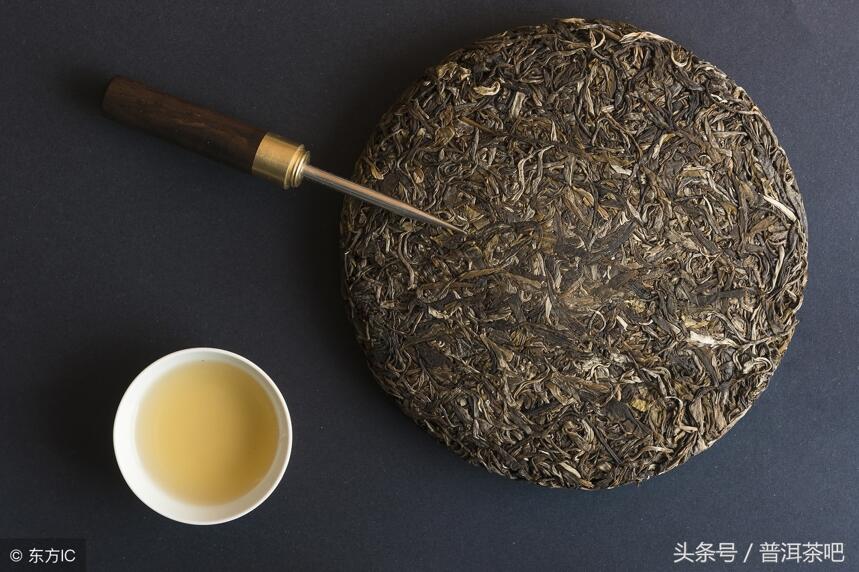 普洱茶的香来自哪里的茶