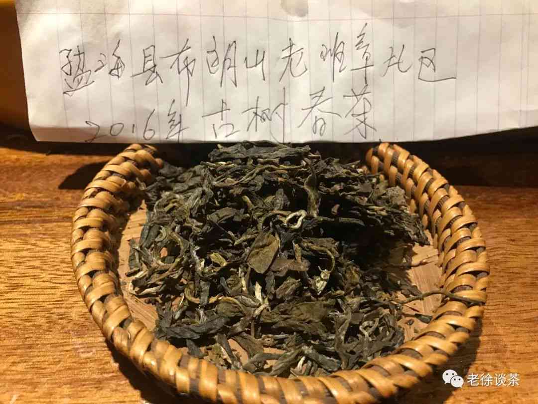 新 从新手到老手：我的普洱茶品鉴与饮用经验分享 - 300字日记