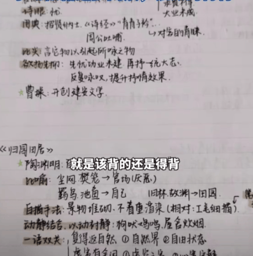 我的普洱茶日记300字