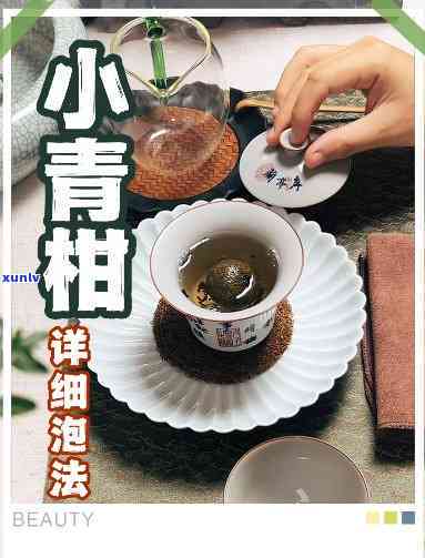 普洱茶搭配：完美茶点指南，让您的品茗体验更上一层楼