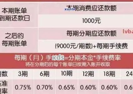 全面了解信用卡逾期还款记录查询方法与影响，助您避免逾期风险