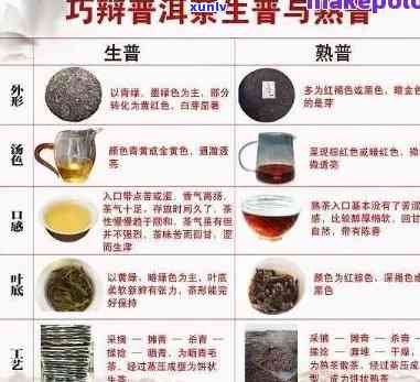 探究大牌普洱茶的原料之谜：揭秘高品质茶叶背后的选料之道！