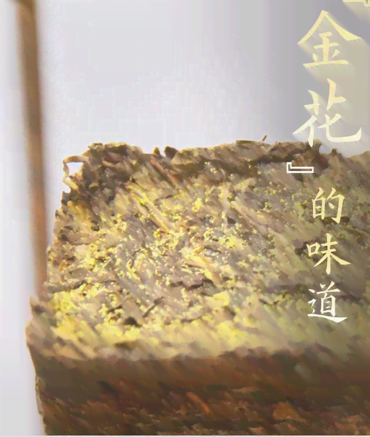 普洱茶中的金花如何品饮以实现效果，以及它的健益处