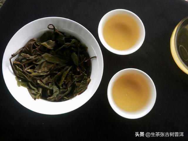 揭秘普洱茶新晋贵族：品种、产地、口感及选购指南，一次了解所有你想知道的