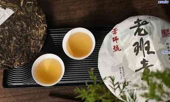 云南普洱茶老家：传承古法与匠心打造的高品质茶叶