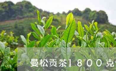 曼松贡茶普洱茶价格多少