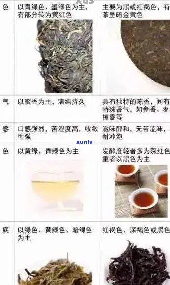 很难泡开的普洱茶有哪些品种和？