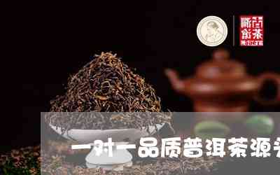 探索普洱茶的源头：它原本是一种什么样的茶叶？