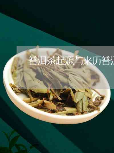 普洱茶原名叫什么：探索普洱茶的起源及其原名