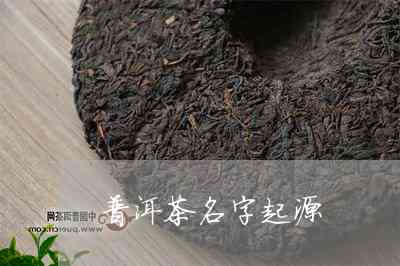 普洱茶原名叫什么：探索普洱茶的起源及其原名