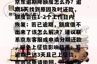 京东今天还了不能再借了：原因与解决办法