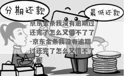 京东今天还了不能再借了-京东今天还了不能再借了怎么办