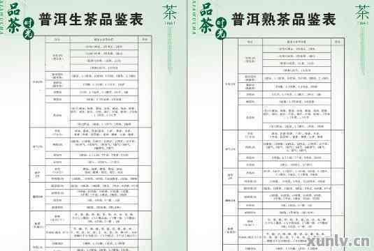 东莞普洱茶存放时间表格