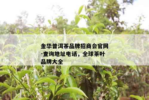 金华普洱茶卖场地址及价格信息