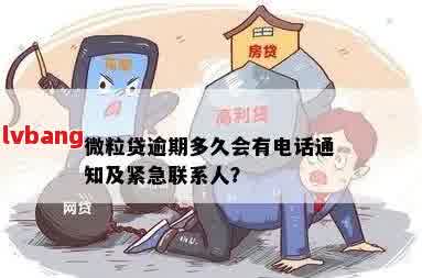 网贷逾期三天：紧急联系人是否必设？如何避免影响信用记录？