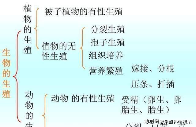 探究普洱茶的热量：是否会助长体重增加？