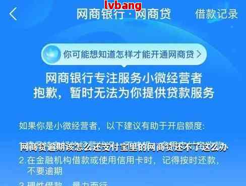 网商贷逾期期限全面解析：用户最关心的问题都在这里！