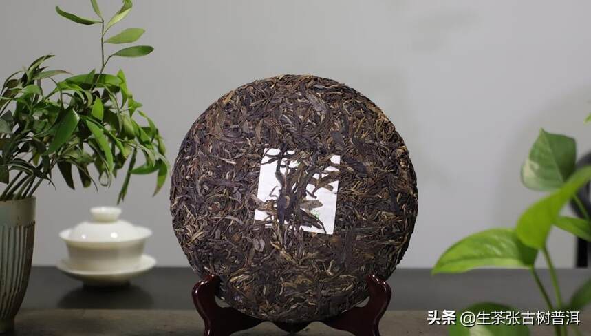 普洱茶有哪些魅力和特点