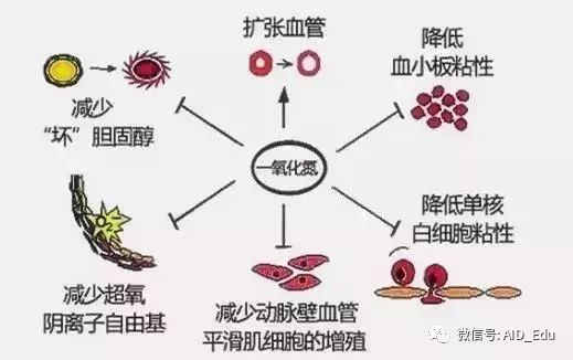 '玉石杯是否真的能有效降低血压、血糖和血脂？- 一份全面的研究报告'