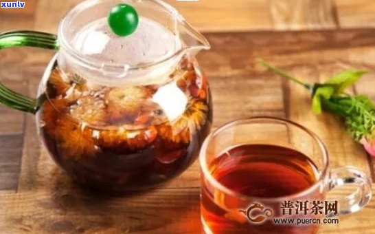 菊花熟普洱茶与湿热体质：功效、禁忌及如何正确饮用