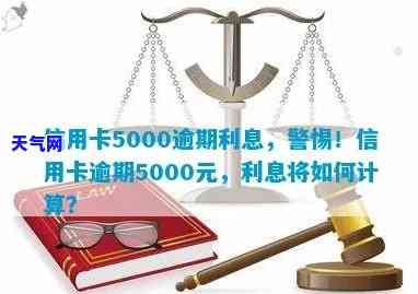 信用卡5000元更低还款额度详解与计算方法