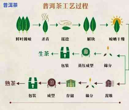 普洱茶后期转化的全面解析：从发酵到陈化，了解普洱茶的神奇变化过程